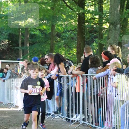 22.09.2024 - 32. Volkslauf durch das schöne Alstertal H.Heesch http://msf.ph/oto/7110956 22.09.2024 10:48:45 Ziel 5013, 5016, 5024, 5972, 5975, 5976 meine-sportfotos.de