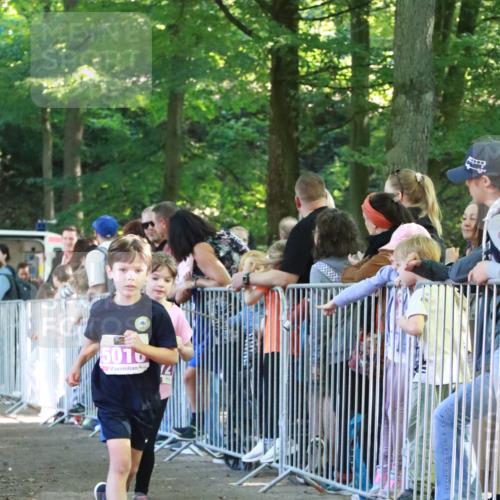 22.09.2024 - 32. Volkslauf durch das schöne Alstertal H.Heesch http://msf.ph/oto/7110962 22.09.2024 10:48:45 Ziel 5013, 5016, 5024, 5972, 5975, 5976 meine-sportfotos.de