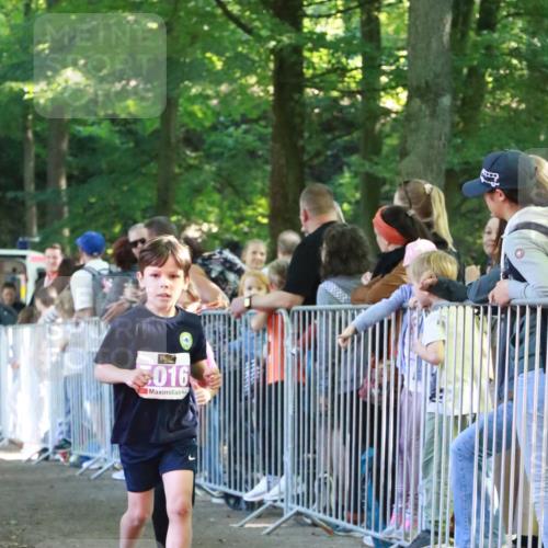 22.09.2024 - 32. Volkslauf durch das schöne Alstertal H.Heesch http://msf.ph/oto/7110965 22.09.2024 10:48:45 Ziel 5013, 5016, 5024, 5972, 5975, 5976 meine-sportfotos.de