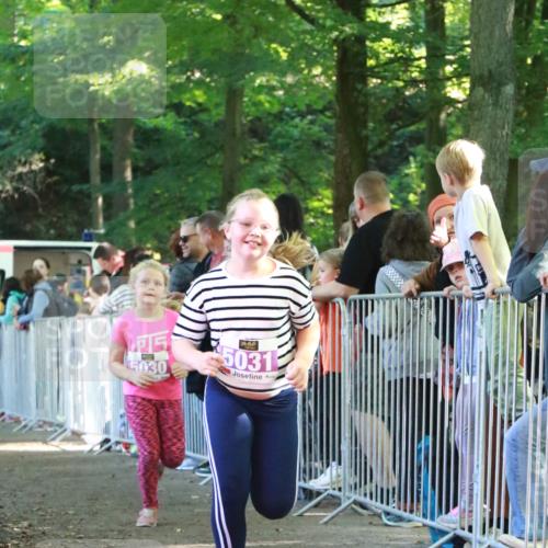 22.09.2024 - 32. Volkslauf durch das schöne Alstertal H.Heesch http://msf.ph/oto/7111039 22.09.2024 10:49:15 Ziel 5030, 5031 meine-sportfotos.de