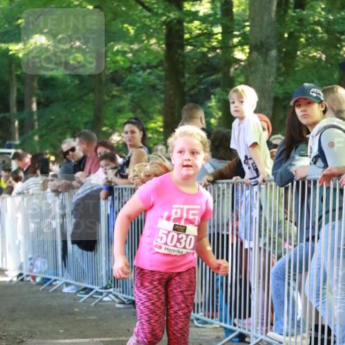 22.09.2024 - 32. Volkslauf durch das schöne Alstertal H.Heesch http://msf.ph/oto/7111057 22.09.2024 10:49:17 Ziel 5030, 5031 meine-sportfotos.de