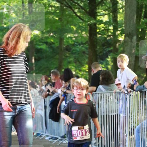 22.09.2024 - 32. Volkslauf durch das schöne Alstertal H.Heesch http://msf.ph/oto/7111099 22.09.2024 10:49:55 Ziel 5012 meine-sportfotos.de