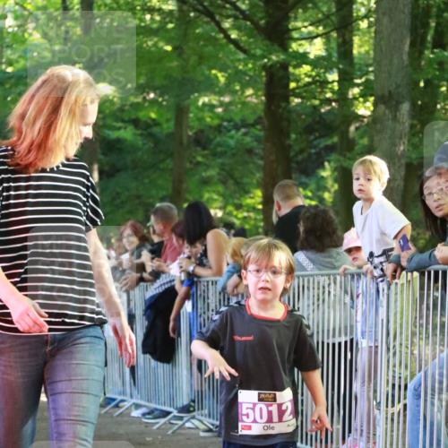 22.09.2024 - 32. Volkslauf durch das schöne Alstertal H.Heesch http://msf.ph/oto/7111107 22.09.2024 10:49:55 Ziel 5012 meine-sportfotos.de