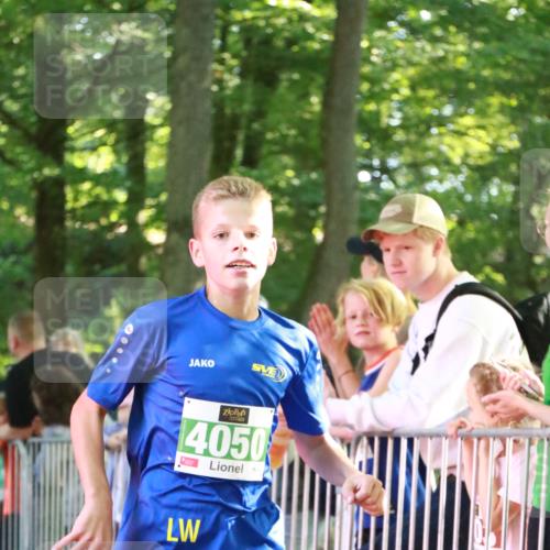 22.09.2024 - 32. Volkslauf durch das schöne Alstertal H.Heesch http://msf.ph/oto/7111118 22.09.2024 10:50:19 Ziel 4050, 4070 meine-sportfotos.de