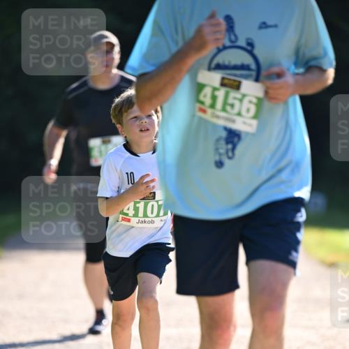 22.09.2024 - 32. Volkslauf durch das schöne Alstertal Dr. Thomas Lammeyer http://msf.ph/oto/7111129 22.09.2024 10:52:26 Laufen 10, 4107, 4156 meine-sportfotos.de