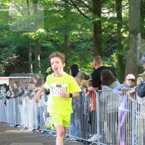 22.09.2024 - 32. Volkslauf durch das schöne Alstertal H.Heesch http://msf.ph/oto/7111139 22.09.2024 10:50:28 Ziel 4005, 4070 meine-sportfotos.de