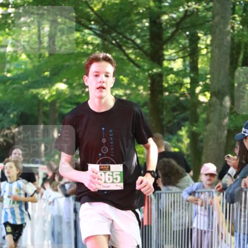 22.09.2024 - 32. Volkslauf durch das schöne Alstertal H.Heesch http://msf.ph/oto/7111209 22.09.2024 10:50:48 Ziel 4047, 4071, 4072, 4956, 4965 meine-sportfotos.de