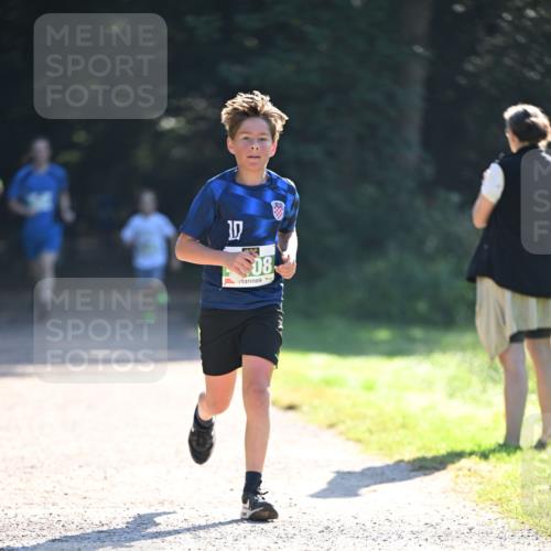 22.09.2024 - 32. Volkslauf durch das schöne Alstertal Dr. Thomas Lammeyer http://msf.ph/oto/7111254 22.09.2024 10:52:37 Laufen 08 meine-sportfotos.de