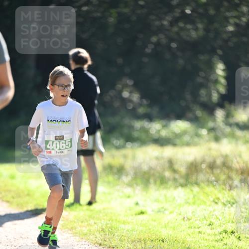 22.09.2024 - 32. Volkslauf durch das schöne Alstertal Dr. Thomas Lammeyer http://msf.ph/oto/7111298 22.09.2024 10:52:47 Laufen 4065 meine-sportfotos.de
