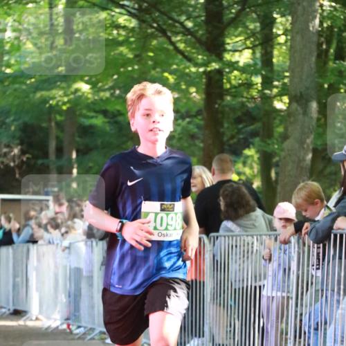 22.09.2024 - 32. Volkslauf durch das schöne Alstertal H.Heesch http://msf.ph/oto/7111354 22.09.2024 10:52:41 Ziel 4001, 4098 meine-sportfotos.de