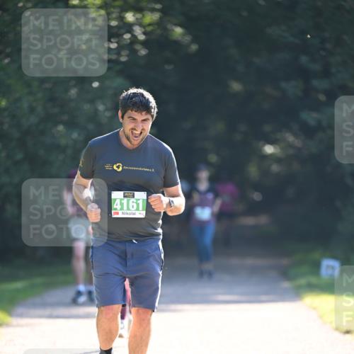 22.09.2024 - 32. Volkslauf durch das schöne Alstertal Dr. Thomas Lammeyer http://msf.ph/oto/7111381 22.09.2024 10:52:56 Laufen 4161 meine-sportfotos.de