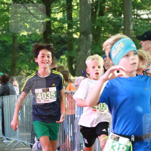 22.09.2024 - 32. Volkslauf durch das schöne Alstertal H.Heesch http://msf.ph/oto/7111446 22.09.2024 10:53:00 Ziel 4035, 4036, 4038, 4086, 4170, 4966 meine-sportfotos.de