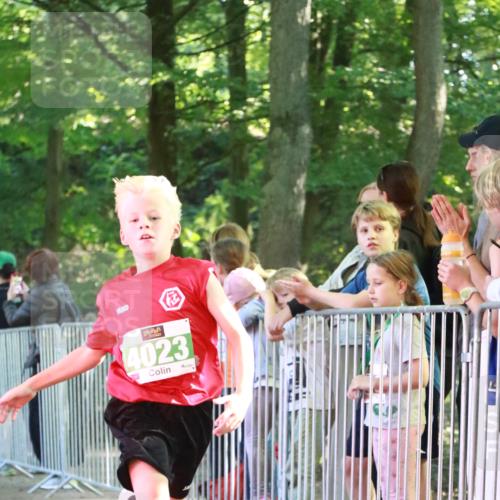 22.09.2024 - 32. Volkslauf durch das schöne Alstertal H.Heesch http://msf.ph/oto/7111521 22.09.2024 10:53:31 Ziel 4023, 4079 meine-sportfotos.de