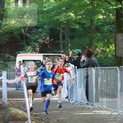 22.09.2024 - 32. Volkslauf durch das schöne Alstertal H.Heesch http://msf.ph/oto/7111587 22.09.2024 10:53:51 Ziel 4004, 4120, 4121, 4961 meine-sportfotos.de