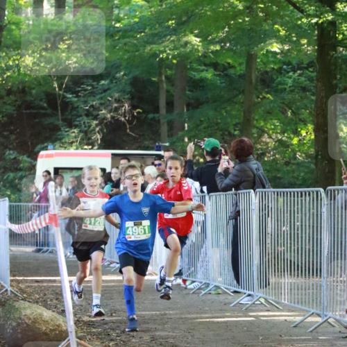 22.09.2024 - 32. Volkslauf durch das schöne Alstertal H.Heesch http://msf.ph/oto/7111595 22.09.2024 10:53:51 Ziel 4004, 4120, 4121, 4961 meine-sportfotos.de