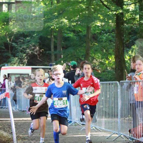 22.09.2024 - 32. Volkslauf durch das schöne Alstertal H.Heesch http://msf.ph/oto/7111604 22.09.2024 10:53:52 Ziel 4004, 4120, 4121, 4961 meine-sportfotos.de