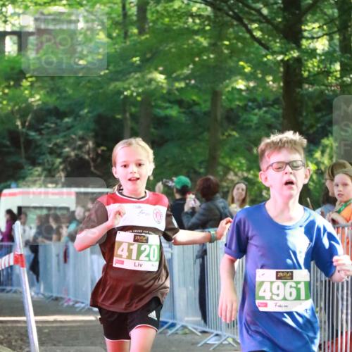 22.09.2024 - 32. Volkslauf durch das schöne Alstertal H.Heesch http://msf.ph/oto/7111613 22.09.2024 10:53:53 Ziel 4120, 4121, 4961 meine-sportfotos.de