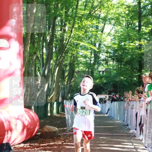 22.09.2024 - 32. Volkslauf durch das schöne Alstertal H.Heesch http://msf.ph/oto/7111641 22.09.2024 10:54:05 Ziel 4028, 4163 meine-sportfotos.de