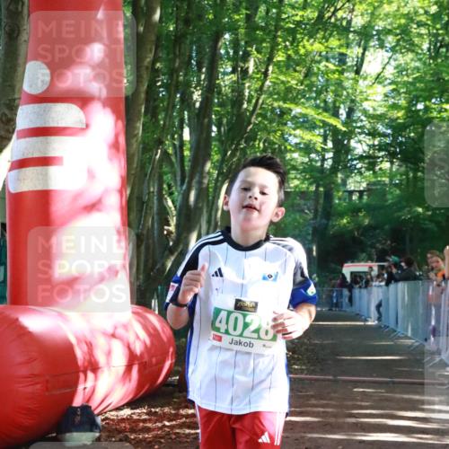 22.09.2024 - 32. Volkslauf durch das schöne Alstertal H.Heesch http://msf.ph/oto/7111661 22.09.2024 10:54:05 Ziel 4028, 4163 meine-sportfotos.de