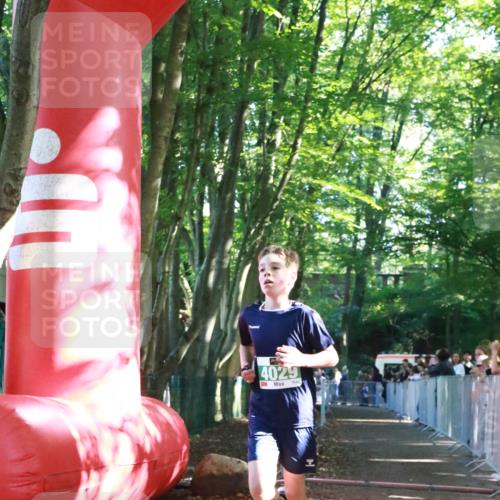 22.09.2024 - 32. Volkslauf durch das schöne Alstertal H.Heesch http://msf.ph/oto/7111683 22.09.2024 10:54:14 Ziel 4029 meine-sportfotos.de