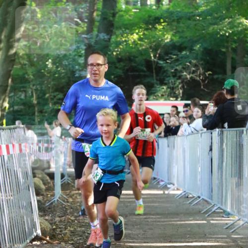 22.09.2024 - 32. Volkslauf durch das schöne Alstertal H.Heesch http://msf.ph/oto/7111710 22.09.2024 10:54:36 Ziel 4046, 4117, 4143, 4144 meine-sportfotos.de