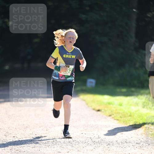 22.09.2024 - 32. Volkslauf durch das schöne Alstertal Dr. Thomas Lammeyer http://msf.ph/oto/7111765 22.09.2024 10:53:49 Laufen 62 meine-sportfotos.de