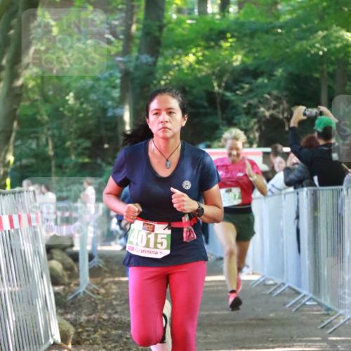 22.09.2024 - 32. Volkslauf durch das schöne Alstertal H.Heesch http://msf.ph/oto/7111772 22.09.2024 10:54:55 Ziel 4015, 4087, 4088 meine-sportfotos.de