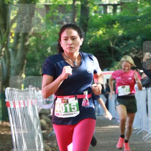 22.09.2024 - 32. Volkslauf durch das schöne Alstertal H.Heesch http://msf.ph/oto/7111780 22.09.2024 10:54:55 Ziel 4015, 4087, 4088 meine-sportfotos.de