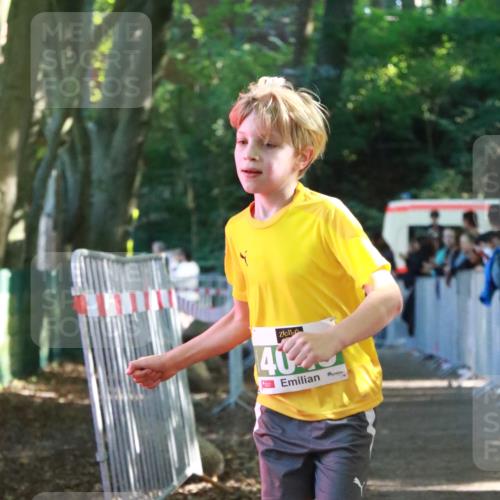 22.09.2024 - 32. Volkslauf durch das schöne Alstertal H.Heesch http://msf.ph/oto/7111905 22.09.2024 10:55:28 Ziel 4045, 4105, 4126, 4139 meine-sportfotos.de