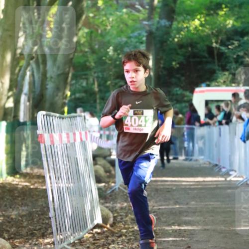 22.09.2024 - 32. Volkslauf durch das schöne Alstertal H.Heesch http://msf.ph/oto/7111936 22.09.2024 10:55:36 Ziel 4042, 4103, 4105 meine-sportfotos.de