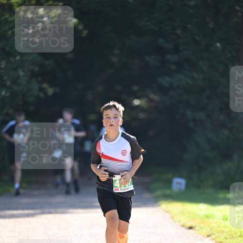 22.09.2024 - 32. Volkslauf durch das schöne Alstertal Dr. Thomas Lammeyer http://msf.ph/oto/7111966 22.09.2024 10:54:26 Laufen 4 meine-sportfotos.de