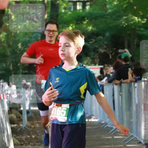 22.09.2024 - 32. Volkslauf durch das schöne Alstertal H.Heesch http://msf.ph/oto/7112016 22.09.2024 10:55:47 Ziel 4066, 4103, 4155, 4164, 4165 meine-sportfotos.de