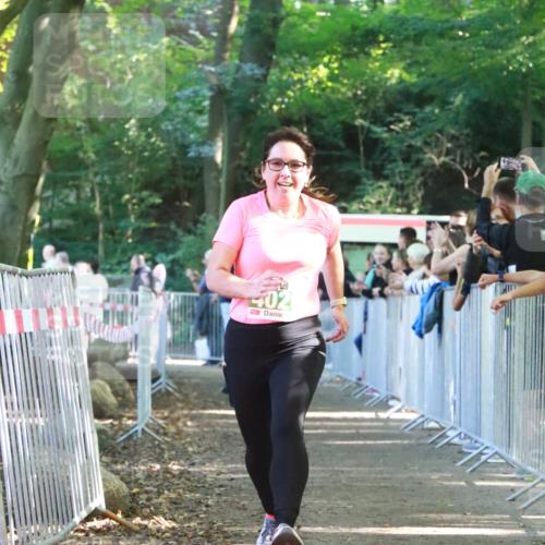 22.09.2024 - 32. Volkslauf durch das schöne Alstertal H.Heesch http://msf.ph/oto/7112085 22.09.2024 10:56:08 Ziel 4026, 4964 meine-sportfotos.de