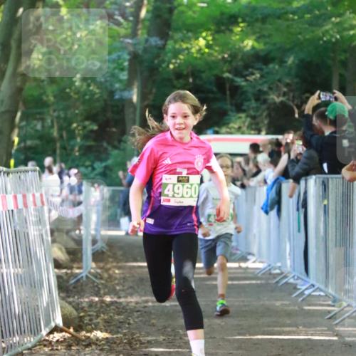 22.09.2024 - 32. Volkslauf durch das schöne Alstertal H.Heesch http://msf.ph/oto/7112184 22.09.2024 10:56:30 Ziel 4064, 4065, 4162, 4960 meine-sportfotos.de