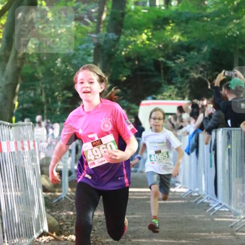 22.09.2024 - 32. Volkslauf durch das schöne Alstertal H.Heesch http://msf.ph/oto/7112203 22.09.2024 10:56:31 Ziel 4008, 4064, 4065, 4162, 4960 meine-sportfotos.de