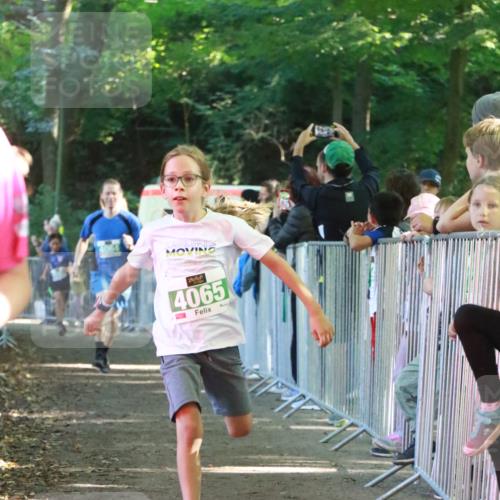 22.09.2024 - 32. Volkslauf durch das schöne Alstertal H.Heesch http://msf.ph/oto/7112209 22.09.2024 10:56:32 Ziel 4008, 4064, 4065, 4162, 4960 meine-sportfotos.de