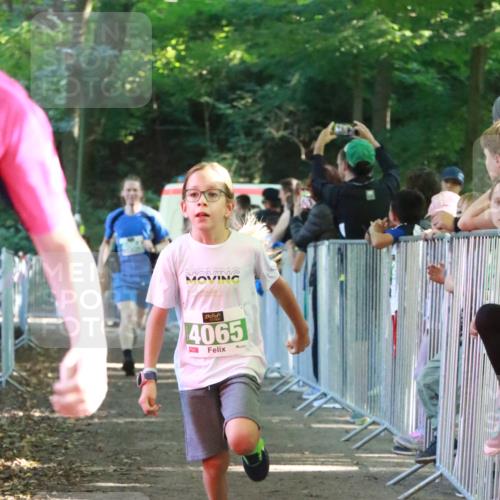 22.09.2024 - 32. Volkslauf durch das schöne Alstertal H.Heesch http://msf.ph/oto/7112216 22.09.2024 10:56:32 Ziel 4008, 4064, 4065, 4162, 4960 meine-sportfotos.de