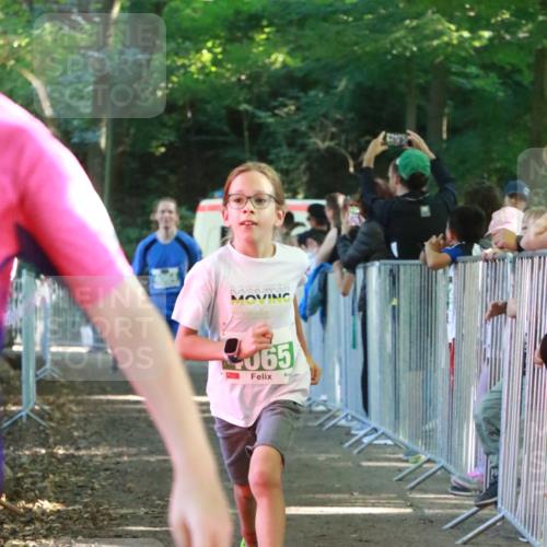 22.09.2024 - 32. Volkslauf durch das schöne Alstertal H.Heesch http://msf.ph/oto/7112222 22.09.2024 10:56:32 Ziel 4008, 4064, 4065, 4162, 4960 meine-sportfotos.de