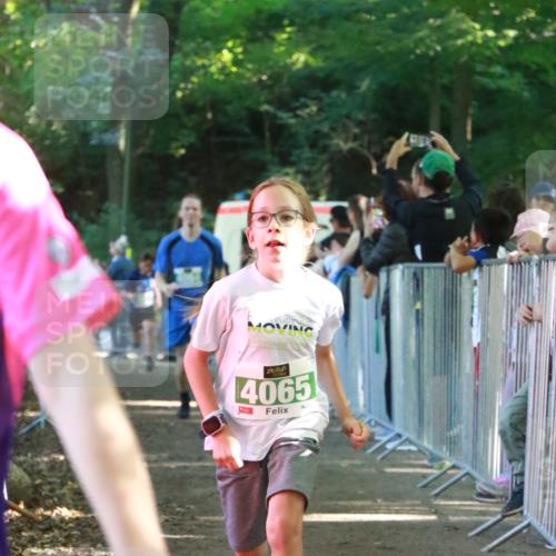22.09.2024 - 32. Volkslauf durch das schöne Alstertal H.Heesch http://msf.ph/oto/7112229 22.09.2024 10:56:32 Ziel 4008, 4064, 4065, 4162, 4960 meine-sportfotos.de