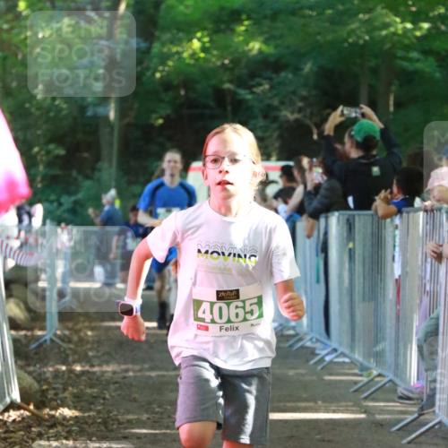 22.09.2024 - 32. Volkslauf durch das schöne Alstertal H.Heesch http://msf.ph/oto/7112233 22.09.2024 10:56:32 Ziel 4008, 4064, 4065, 4162, 4960 meine-sportfotos.de