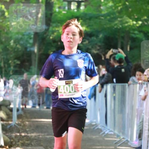 22.09.2024 - 32. Volkslauf durch das schöne Alstertal H.Heesch http://msf.ph/oto/7112310 22.09.2024 10:56:37 Ziel 4008, 4064, 4065, 4960 meine-sportfotos.de