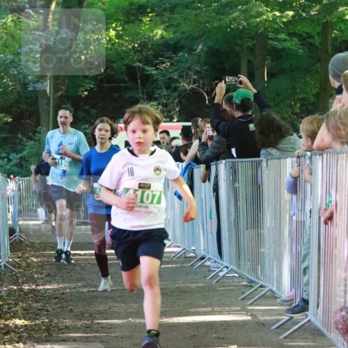 22.09.2024 - 32. Volkslauf durch das schöne Alstertal H.Heesch http://msf.ph/oto/7112411 22.09.2024 10:56:52 Ziel 4107, 4127, 4156 meine-sportfotos.de