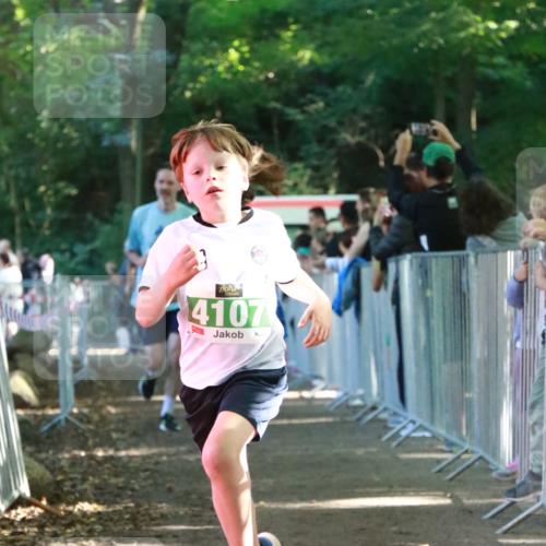 22.09.2024 - 32. Volkslauf durch das schöne Alstertal H.Heesch http://msf.ph/oto/7112430 22.09.2024 10:56:53 Ziel 4107, 4127, 4156 meine-sportfotos.de