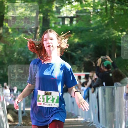 22.09.2024 - 32. Volkslauf durch das schöne Alstertal H.Heesch http://msf.ph/oto/7112455 22.09.2024 10:56:54 Ziel 4101, 4107, 4127, 4156 meine-sportfotos.de