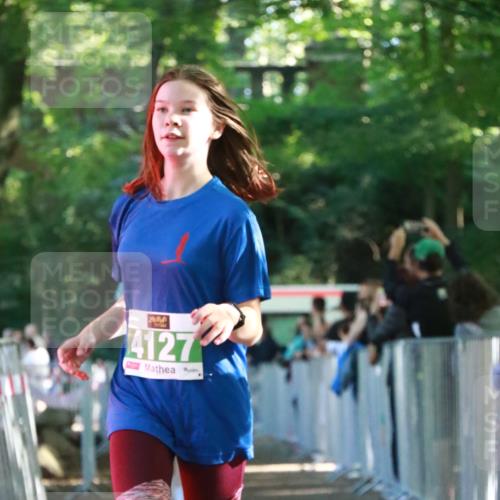 22.09.2024 - 32. Volkslauf durch das schöne Alstertal H.Heesch http://msf.ph/oto/7112461 22.09.2024 10:56:54 Ziel 4101, 4107, 4127, 4156 meine-sportfotos.de