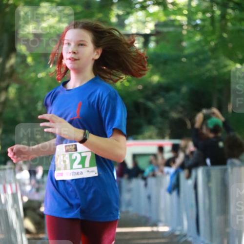 22.09.2024 - 32. Volkslauf durch das schöne Alstertal H.Heesch http://msf.ph/oto/7112467 22.09.2024 10:56:54 Ziel 4101, 4107, 4127, 4156 meine-sportfotos.de