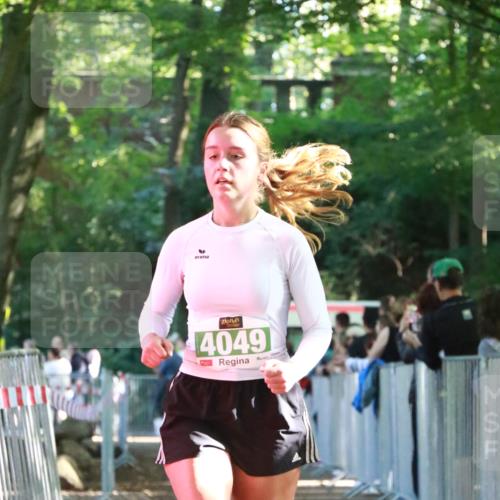 22.09.2024 - 32. Volkslauf durch das schöne Alstertal H.Heesch http://msf.ph/oto/7112601 22.09.2024 10:57:04 Ziel 4049, 4101 meine-sportfotos.de