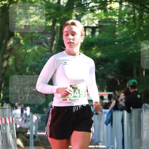 22.09.2024 - 32. Volkslauf durch das schöne Alstertal H.Heesch http://msf.ph/oto/7112611 22.09.2024 10:57:04 Ziel 4049, 4101 meine-sportfotos.de