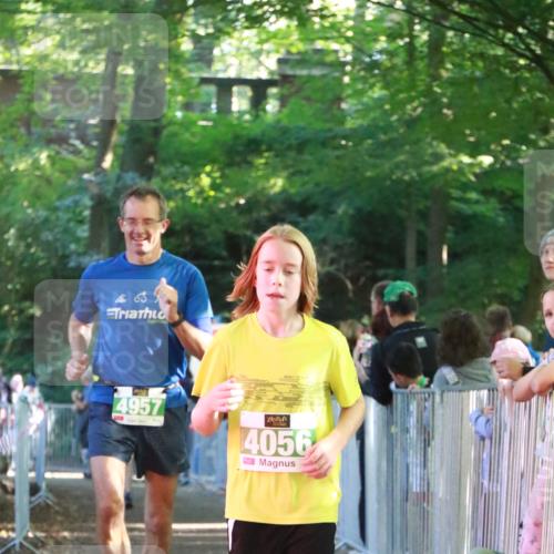 22.09.2024 - 32. Volkslauf durch das schöne Alstertal H.Heesch http://msf.ph/oto/7112959 22.09.2024 10:57:56 Ziel 4055, 4056, 4118, 4140, 4957, 4969 meine-sportfotos.de