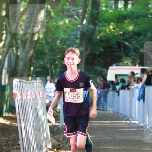 22.09.2024 - 32. Volkslauf durch das schöne Alstertal H.Heesch http://msf.ph/oto/7113021 22.09.2024 10:58:01 Ziel 4055, 4056, 4100, 4118, 4957, 4969 meine-sportfotos.de